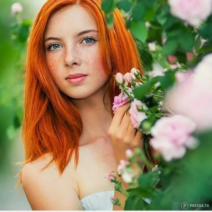 photo: Getshape beauty eyes - lekarne - kje lahko kupim - uradna stran - kupite - popust